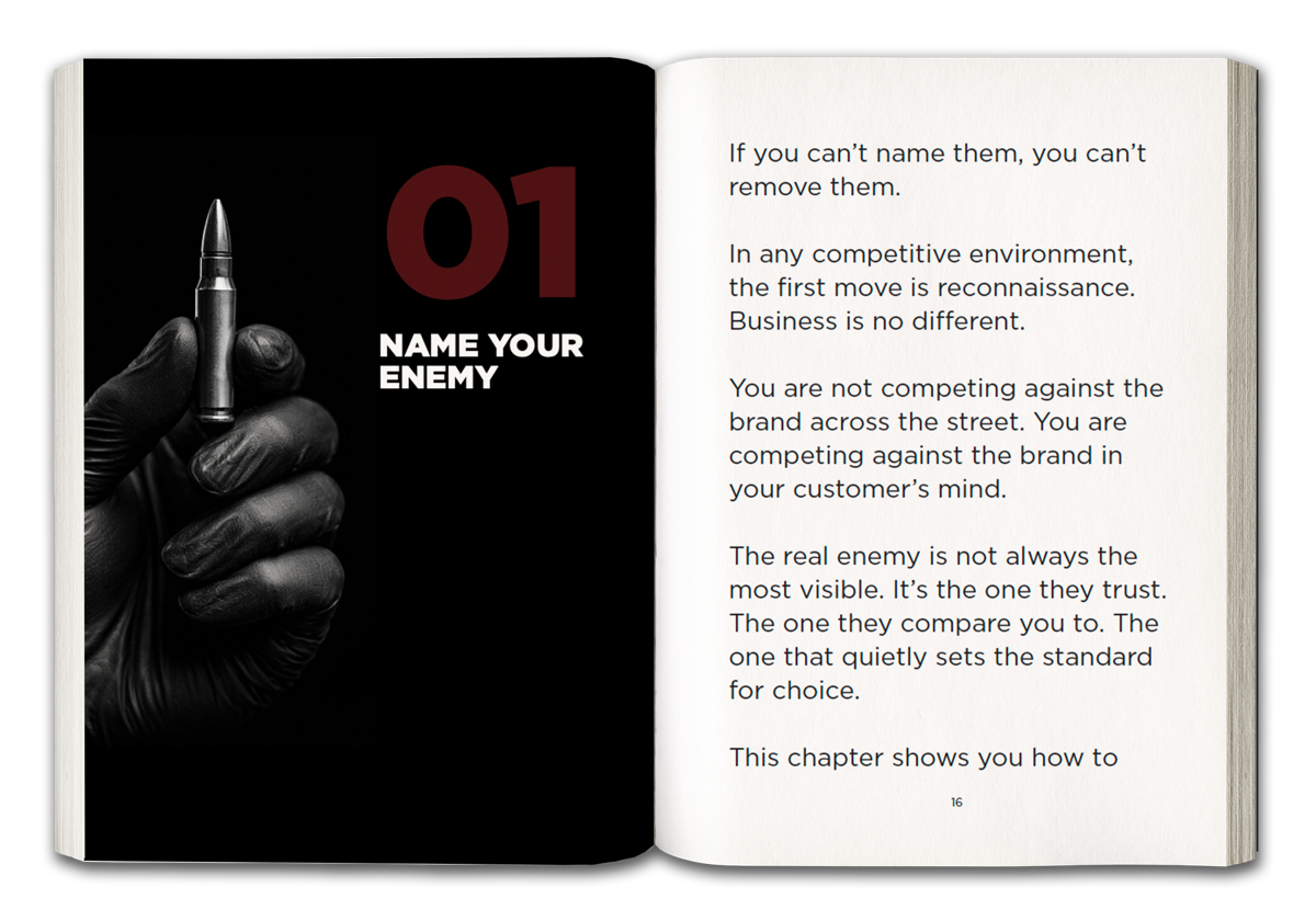 Interior pages from Silver or Lead by Steve Brazell